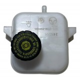 Reservatório Fluido Freio Byd Dolphin Mini Gs 2024 J251