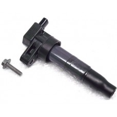 Bobina De Ignição Hyundai Santa Fé V6 273013c000