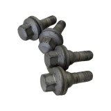 Jogo 4 Parafuso Roda Orginal C4 Cactus 1.6 2021 Aut G1617