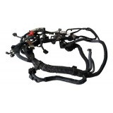 Chicote Injeção Motor Nissan Sentra 2014 2.0 G8638