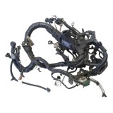 Chicote Do Motor Nissan Kicks 1.6 2017 Aut F549