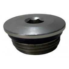 Bujão Selo Parafuso Cabeçote Jeep Renegade 2019 H4280