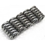 Molas Do Cabeçote L200 3.2 2014 Diesel H6508