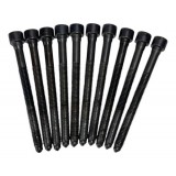 10 Parafusos Do Cabeçote Jetta 2.5 5cc - 382