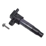 Bobina De Ignição Hyundai Santa Fé V6 273013c000